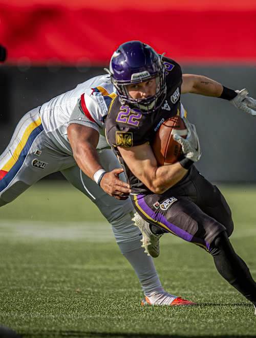 Vienna Vikings at Rhein Fire - image