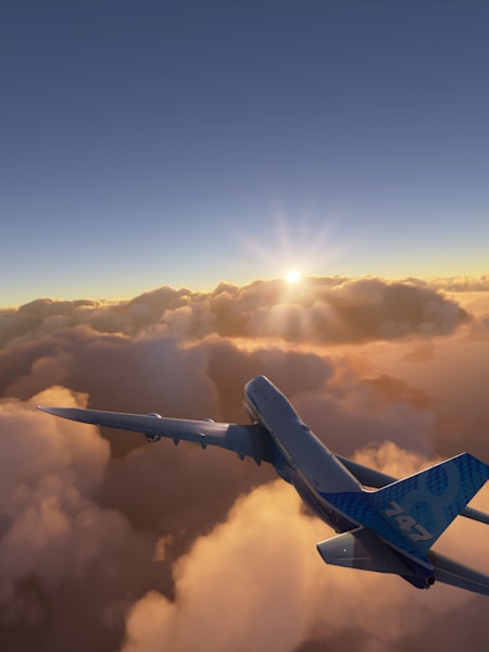 Microsoft flight simulator