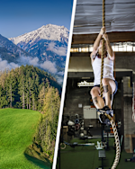 Alle Fragen Antworten Zum Red Bull Almauftrieb 2019