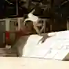 Back noseblunt από τον Josef Scott