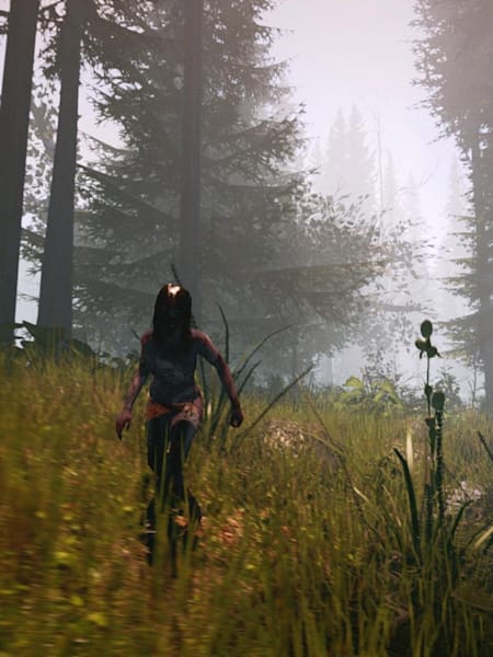Купить Игру The Forest Ps4