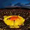 Arena Las Ventas tik pred finalom