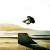 Octavio Barrera, Ollie to fakie