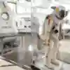 Launch capsule and space suit: Red Bull Stratos