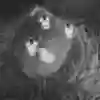 Das Team über einem rauchendem Vulkan