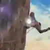 Chris Sharma El Bon Combat'a tırmanıyor