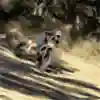 Jessy Nelson blasts his KTM 150SX in NorCal