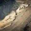 35 km de sufrimiento... ¡Así es Hare Scramble!