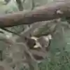 Тусовка на высоте