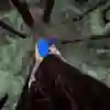 One move at a time