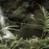 Alex'in akıllara durgunluk veren parendesi