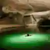 Se usaron luces bajo el agua