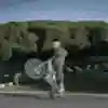 Тренировка в парке Кэдвелл
