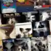 Лучшие игры года