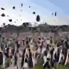 Çanakkale 18 Mart Üniversitesi