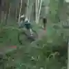 Mulheres em ação