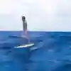 Foiling across the deep blue sea