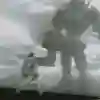 Shadow of the Colossus