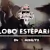 Lobo