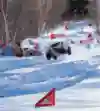 Carl Renezeder at Red Bull Frozen Rush 2015