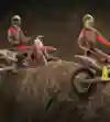 Searle and Cairoli scope out the track