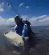 Alphonse Island permit