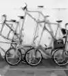 Tall Bikes Will Save the World