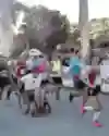 Wings for Life World Run 2015 in Florida