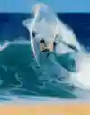 衝上浪頭