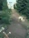 Hier kommen keine grossen Bagger zum Einsatz.