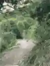 五大路徑之二 Savage