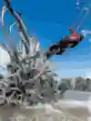 Der "Upstream Rider" Kai Lenny