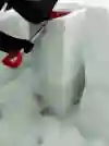 Snowprofile showing the ball bearings layer