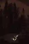 Touring at night, with a full moon