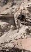 Andreu Lacondeguy lays it flat
