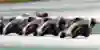 Collin Veijer - Rookies Cup up front in Aragón #2 - 2020
