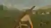 A screenshot of Zelda Breath of the World