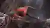 修水管、找寵物、打擊罪犯，一手包辦