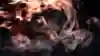 Screenshot of Dante showing off his Balrog Combos