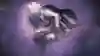 SARYN PRIME也是目前顏值戰力兼具的頂尖戰甲之一