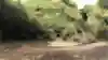 五大路徑之一 Ho Pui Downhill