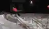 Joey Sexton's part from Child Support