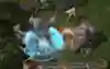 Upcoming Overwatch hero Tracer
