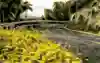 WRC Rally Islas Canarias, stage