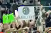 A fan shows TSM pride during League's early years
