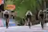 Dani Martínez finishes on the podium of the Giro d'Italia