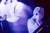 Giorgio Moroder