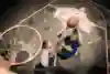 >> 點擊圖片 放大觀看