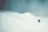 Levi Luggen Powturn