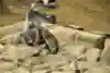 The rocks at X Games LA were tough